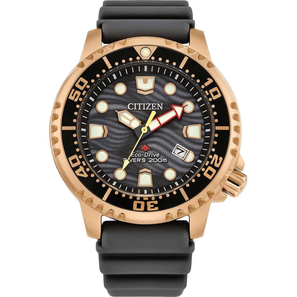 Citizen BN0163-00H watch