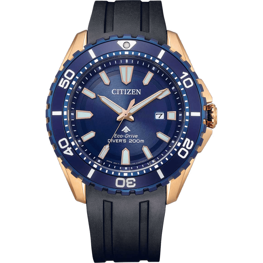 Citizen BN0196-01L watch