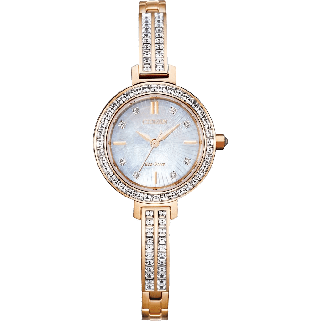 Citizen EM0863-53D watch