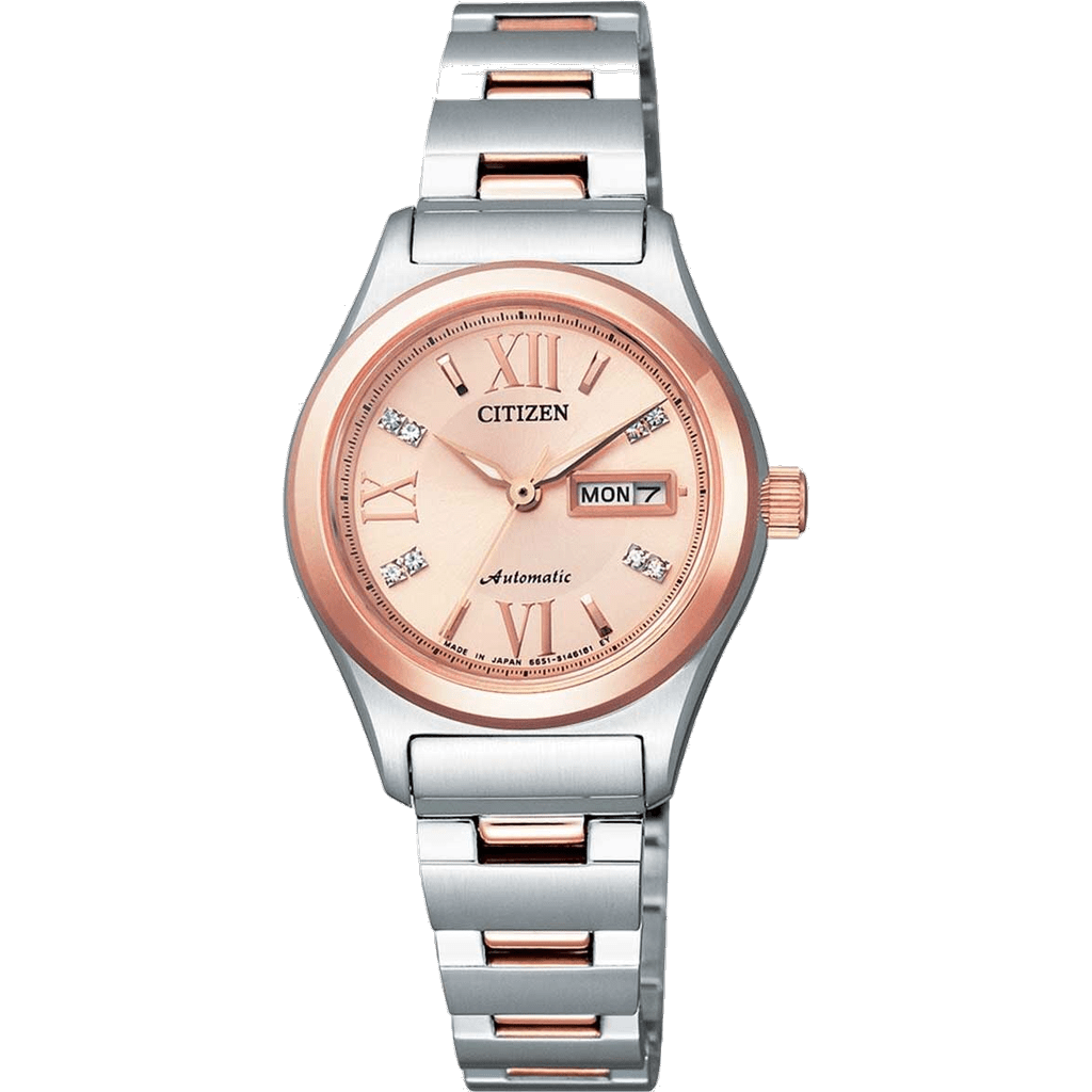 Citizen PD7166-54W watch