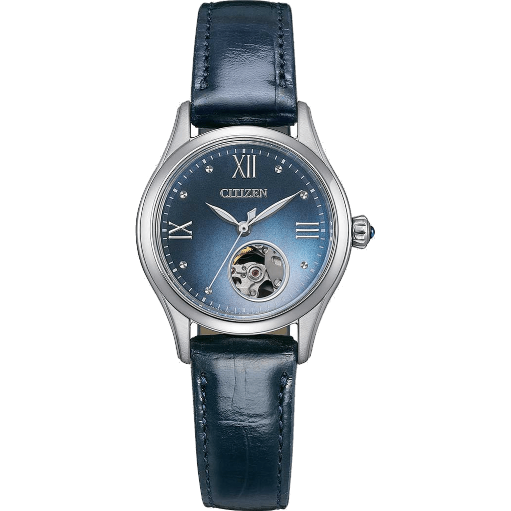 Citizen PR1041-18N watch