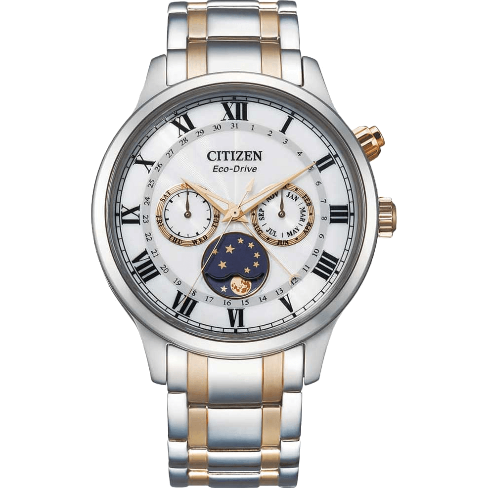 Citizen AP1054-80A watch
