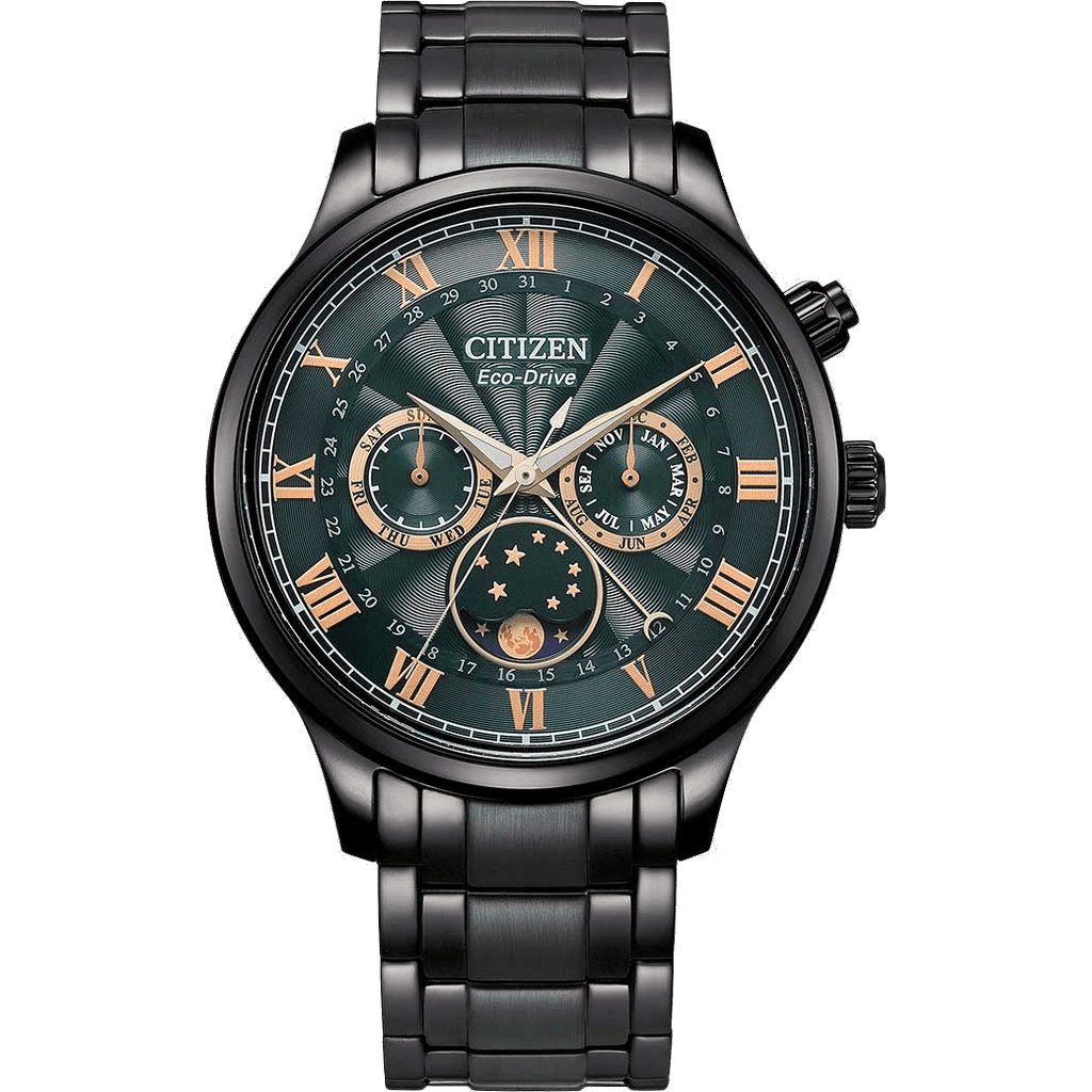 Citizen AP1055-87X watch